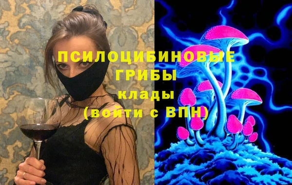 прущие грибы Козловка