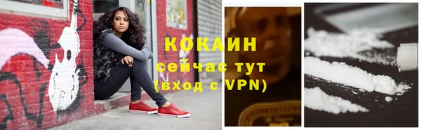 прущие грибы Козловка