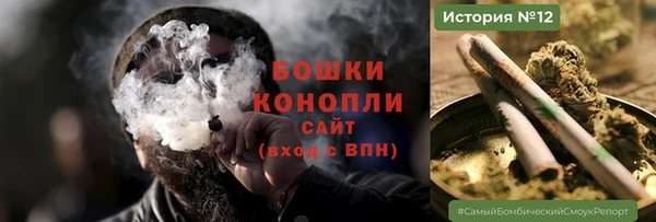 прущий лед Костерёво
