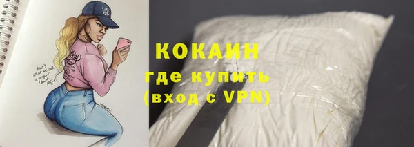 прущие грибы Козловка