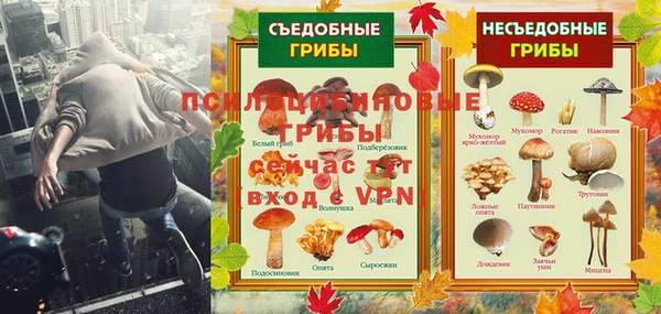 мяу мяу мука Корсаков