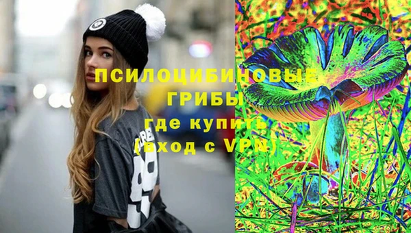прущий лед Костерёво