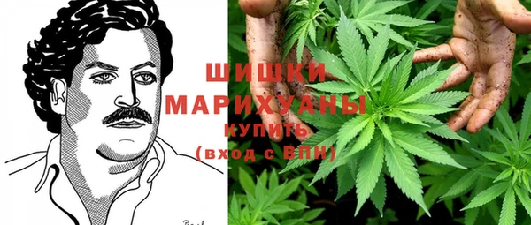 прущие крисы Кодинск