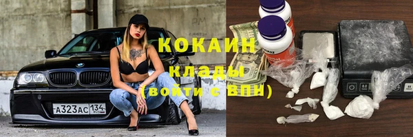 прущие крисы Кодинск