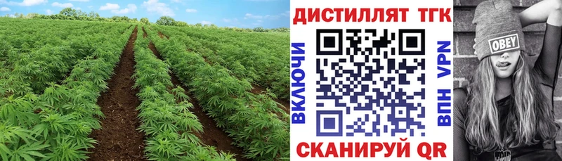 как найти закладки  Суздаль  Дистиллят ТГК Wax 